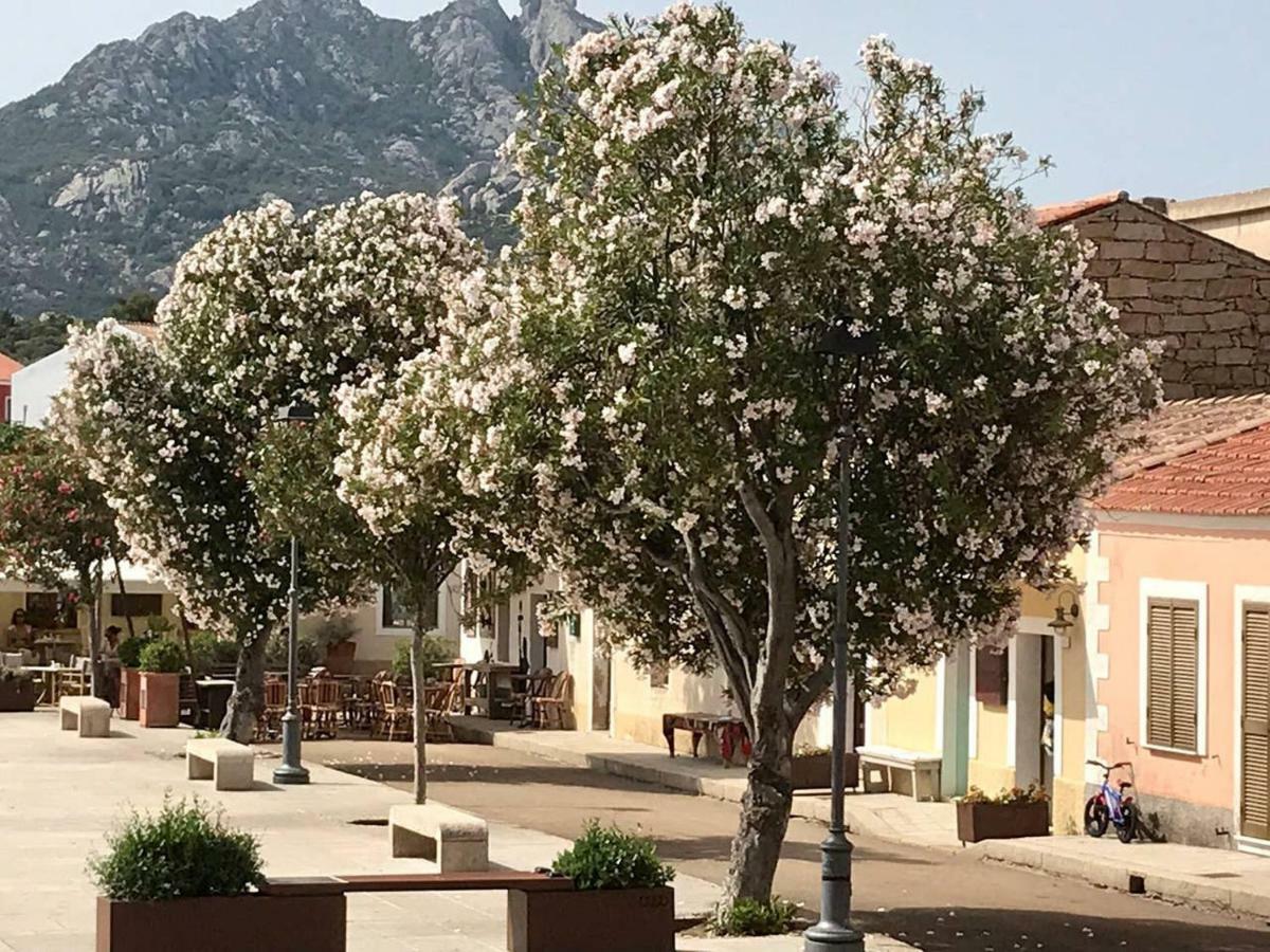 Place San Pantaleo : Jolie Maison Sarde Authentique Vila Exterior foto